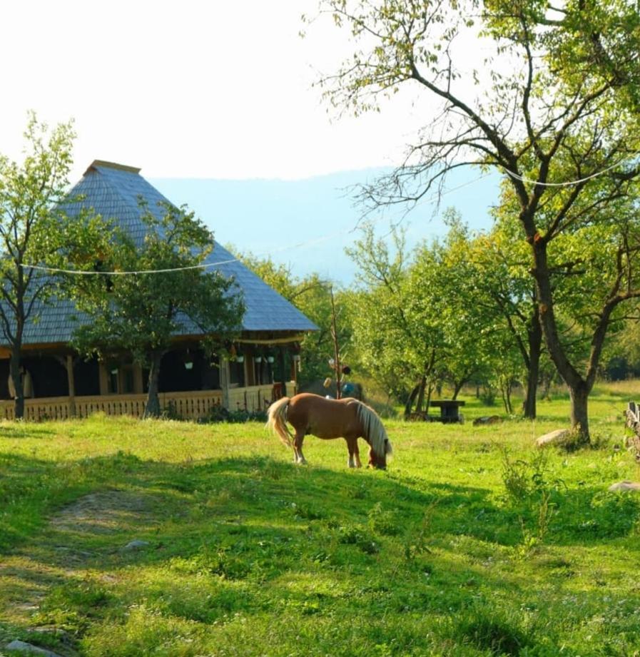 Апартаменты Casuta Din Gradina Breb Экстерьер фото